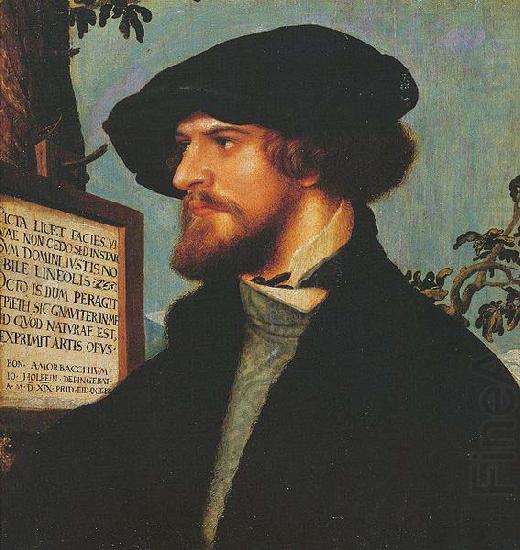 Hans holbein the younger Portrait of Bonifacius Amerbach china oil painting image